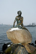 the little mermaid