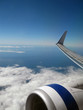 plane wing
