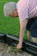 Photo: community service grandma 3 community service grandma 3