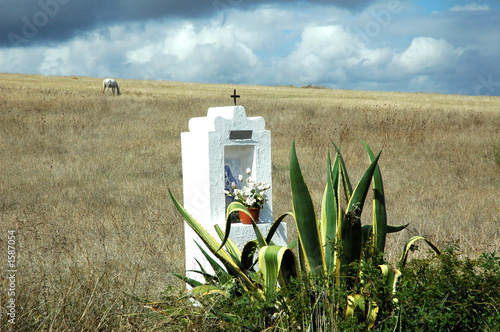portugal, alentejo: horses in a field with small chapel
