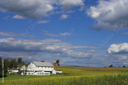 Photo: farn house farn house