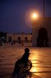 mosqué hassan ii