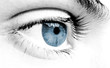 Photo en ligne au meilleur prix blue and gray eye 2