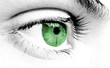 Photo en ligne au meilleur prix green and gray eye