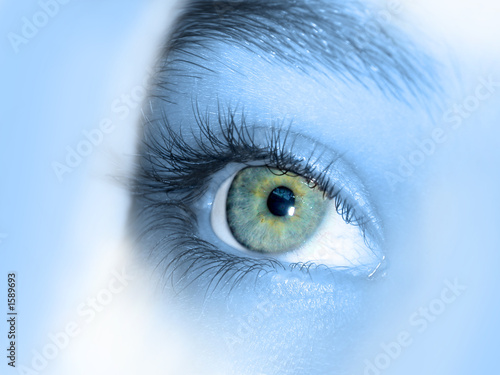 yeux bleu