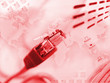 red-toned ethernet cable