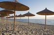 straw beach umbrellas