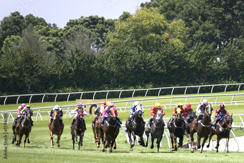 Photo: horse racing horse racing