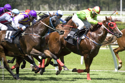 Photo: horse racing horse racing