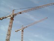 couple de grues couple de grues