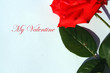 Foto: my valentine card my valentine card
