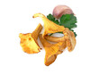 girolles 1 girolles 1
