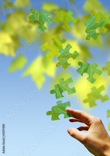 Foto: puzzles of nature puzzles of nature