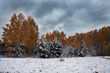 winter day