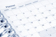 opened agenda