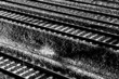 rail 17
