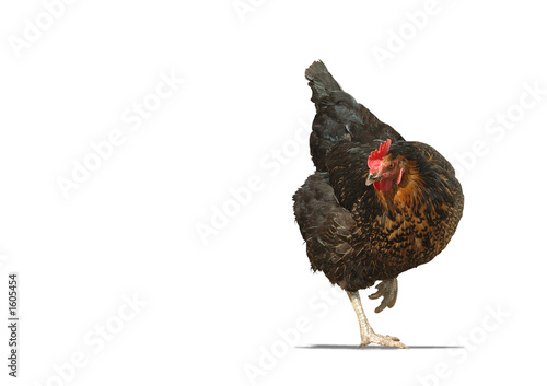 hier bei fotolia ist 1363140
