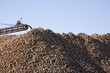 sugar beet industry