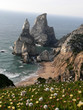 frühling am meer