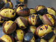 roasted chestnuts closeup
