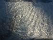 reflets eau