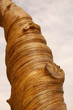 trunk of wood
