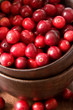 cranberry