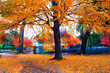 autumn in boston public garden autumn in boston public garden