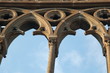 palazzo papale, dettaglio palazzo papale, dettaglio