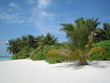 tropical island, paradise island