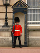 buckingham palace guard