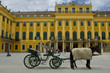 view of vienna view of vienna