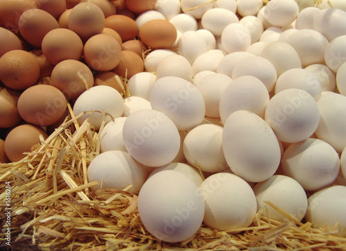 eier auf stroh