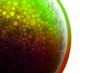 bubble 5