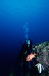 Foto: diving under water diving under water