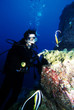 Foto: diving under water diving under water