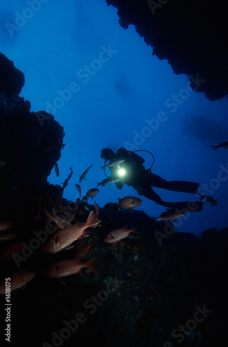 Foto: diving under water diving under water