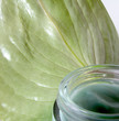 crema natural
