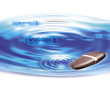 skimming pebble
