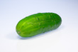 gurke ao_061016_3451.cr2 gurke ao_061016_3451.cr2