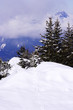 winter scenery