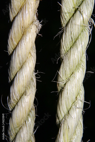 Foto: parallele schnüre parallele schnüre