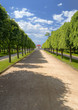 marli palace in peterhof-3