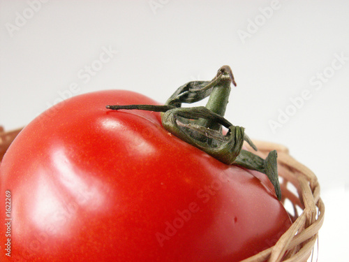 Photo: tomato tomato