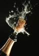 champagne bottle ready for celebration champagne bottle ready for celebration