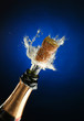 champagne bottle ready for celebration champagne bottle ready for celebration