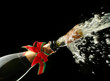 champagne bottle ready for celebration champagne bottle ready for celebration