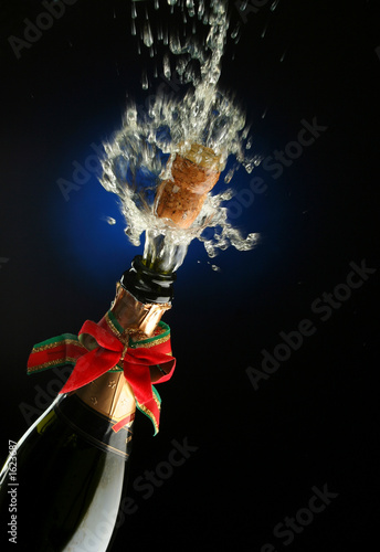 Photo: champagne bottle ready for celebration champagne bottle ready for celebration