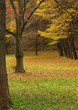 park in autumn