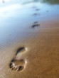 footprints in sand